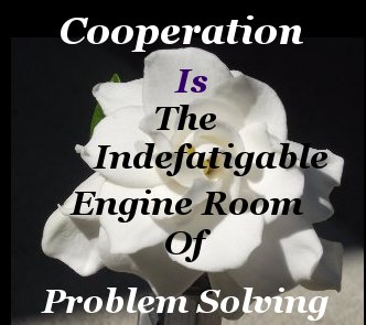 Cooperation is the indefatigable engine room of problem solving
