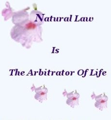 Natural Law is the arbitrator of life