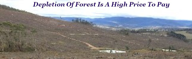 Depletion of forests is a high price to pay Depletion of forests is a high price to pay