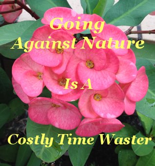 Going against nature is a costly time waster Going against nature is a costly time waster