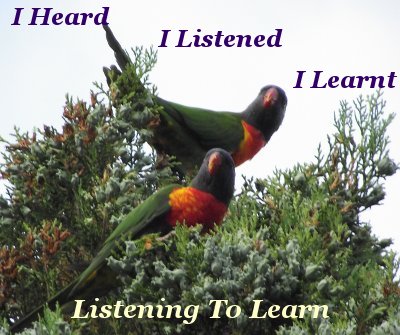 Listening to learn – I heard, I listened, I learnt