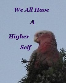 We all have a higher self