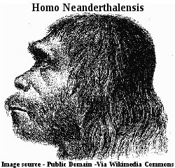 Homo Neanderthalensis - our most recent relative. Homo Neanderthalensis.
