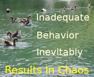inadequate behavior inevitably results in chaos inadequate behavior inevitably results in chaos