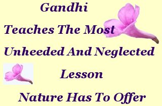 Gandhi teaches the most unheeded and neglected lesson nature has to offer