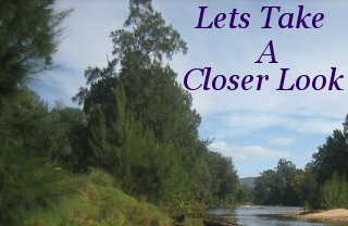 Lets take a closer look Lets take a closer look