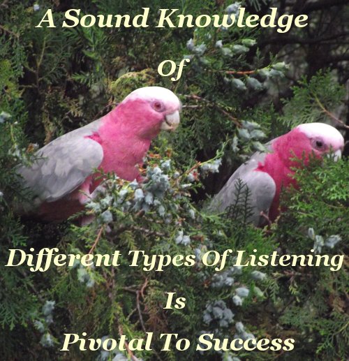 A sound knowledge of the different types of listening is pivotal to success
