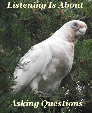 Listening is about asking questions