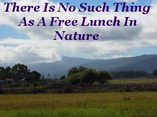 There Is No Such Thing As A Free Lunch In Nature There Is No Such Thing As A Free Lunch In Nature