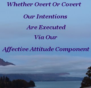 Whether overt, or covert, our intentions are executed via our Affective Attitude Component