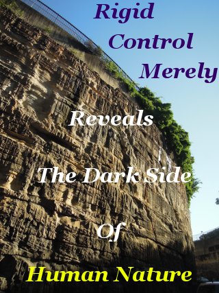 Rigid control merely reveals the dark side of human nature Rigid control merely reveals the dark side of human nature