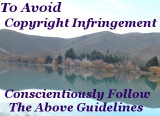 To avoid copyright infringement, conscientiously follow the above guidelines