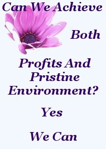Can we achieve both profits and pristine environment? yes we can