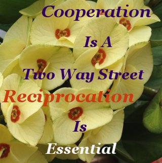 Cooperation is a two way street, reciprocation is essential
