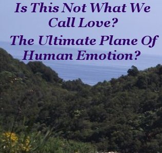 Is this not what we call love? the ultimate plane of human emotion? Is this not what we call love? the ultimate plane of human emotion?